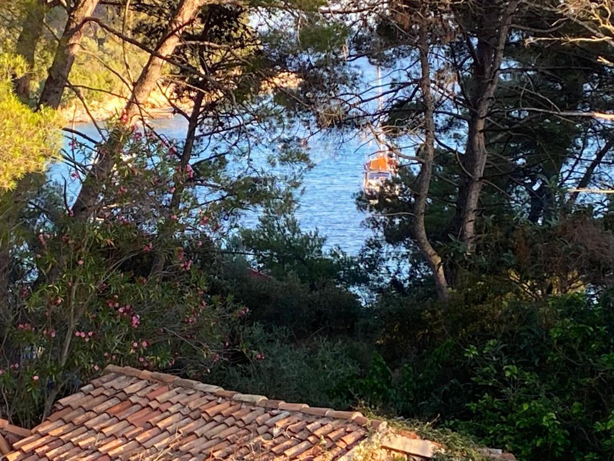 Artatore24 - Modern And Stylish Apartments Mali Lošinj Eksteriør billede