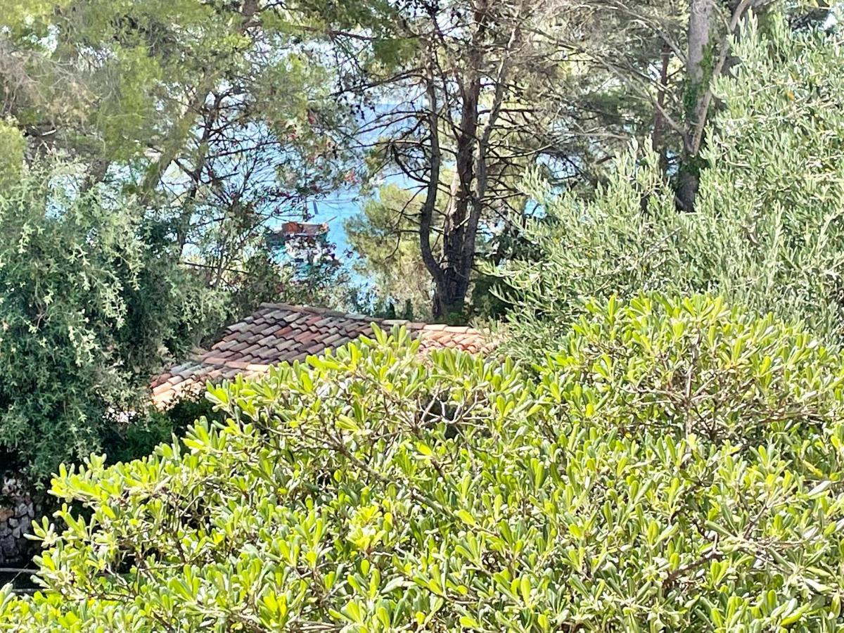 Artatore24 - Modern And Stylish Apartments Mali Lošinj Eksteriør billede